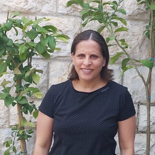 מיכל פרי מיכל פרי
